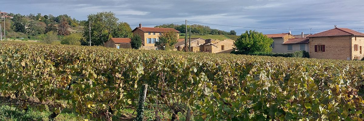 Songes de vigne, chambres d'hôtes dans le Beaujolais