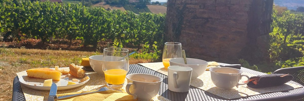 Songes de vigne, petit déjeuner