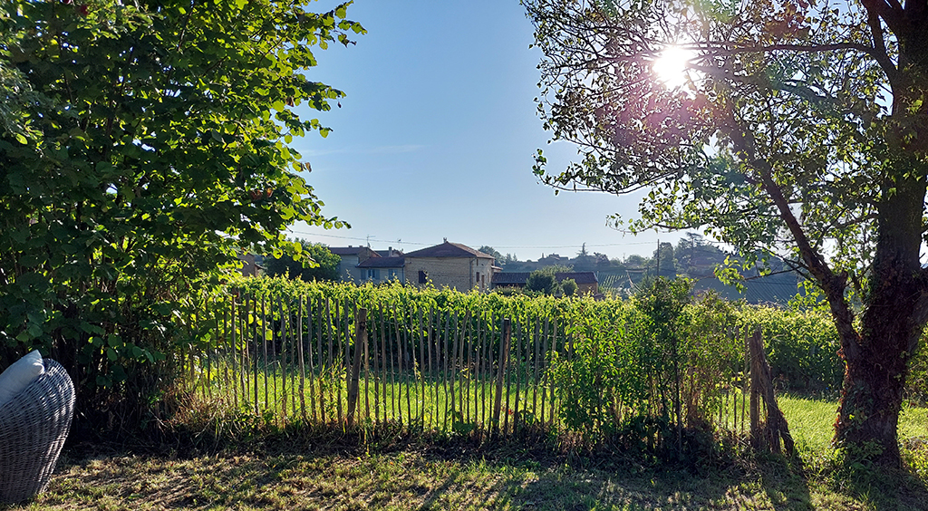 Le jardin, les vignes